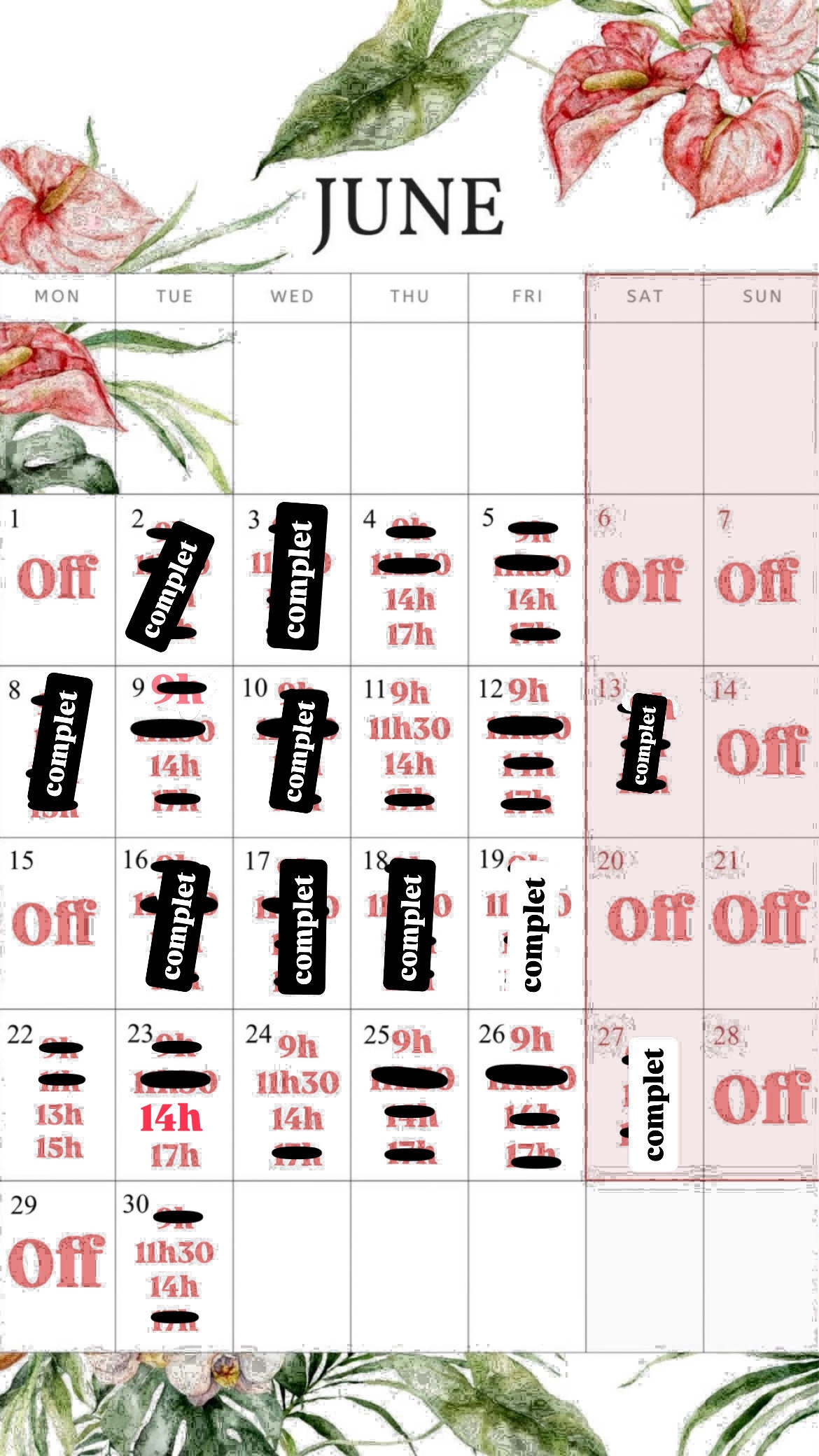 Planning disponibilités April Nail's - Prothésiste ongulaire Auxonne