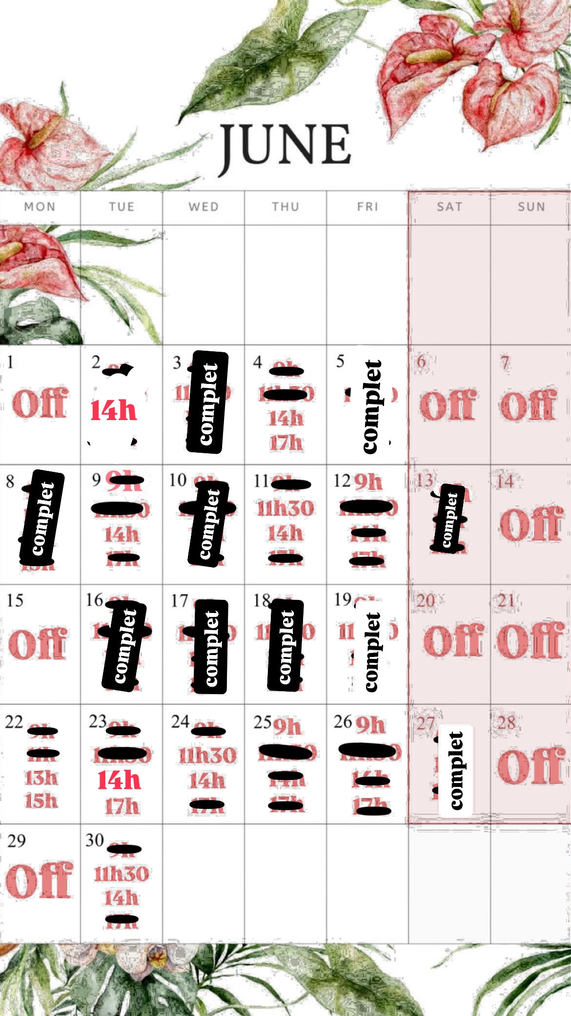 Planning disponibilités April Nail's - Prothésiste ongulaire Auxonne