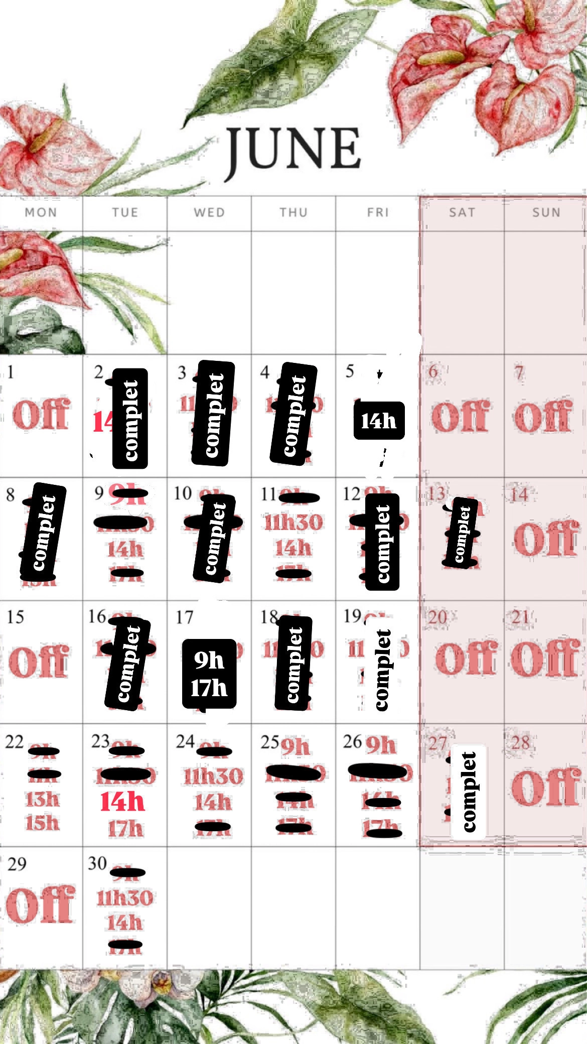 Planning disponibilités April Nail's - Prothésiste ongulaire Auxonne