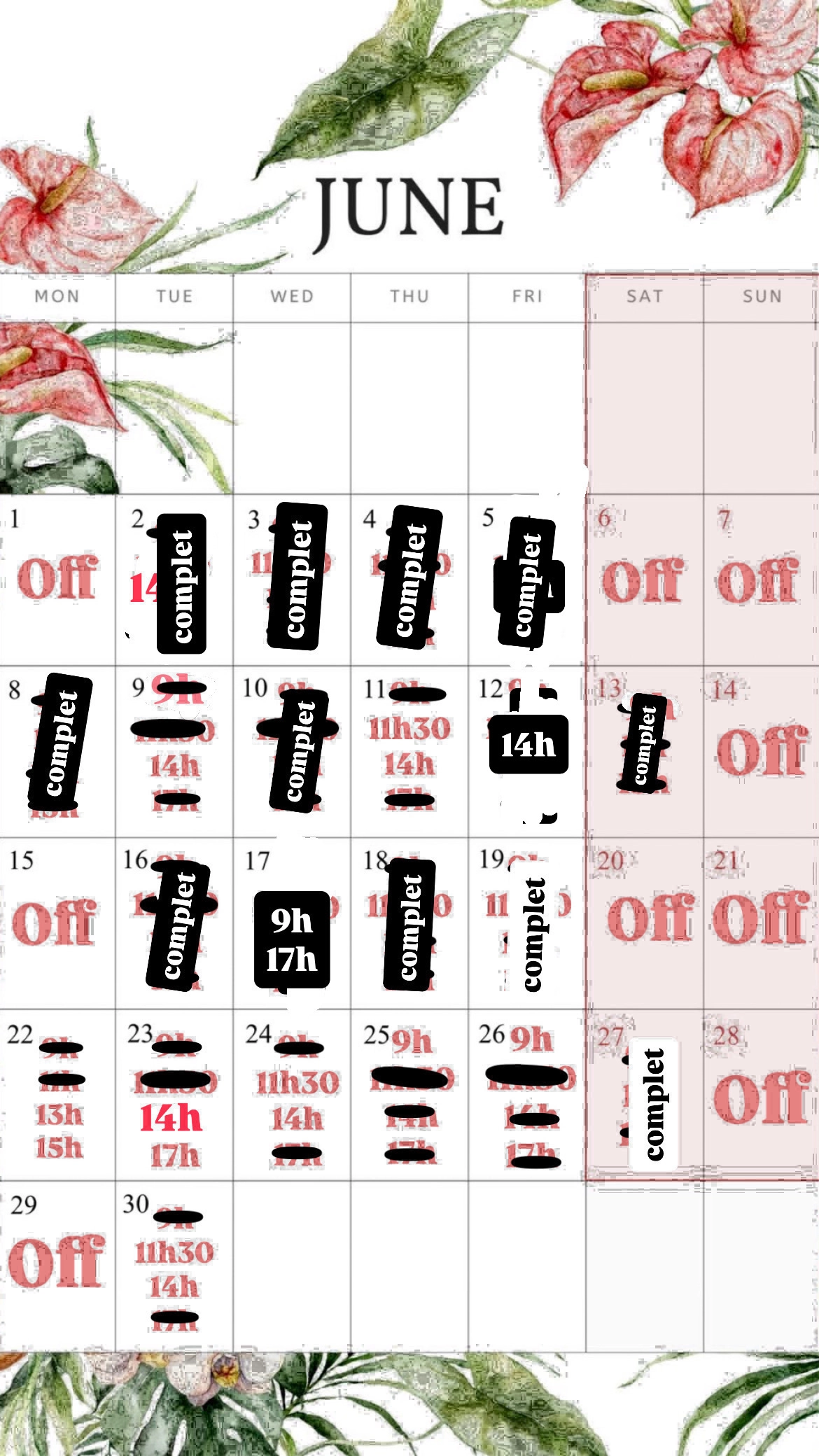 Planning disponibilités April Nail's - Prothésiste ongulaire Auxonne