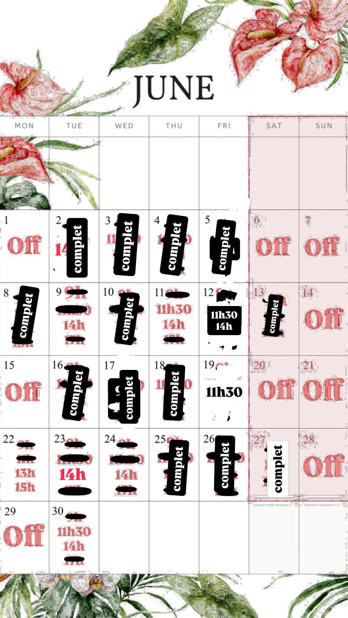Planning disponibilités April Nail's - Prothésiste ongulaire Auxonne
