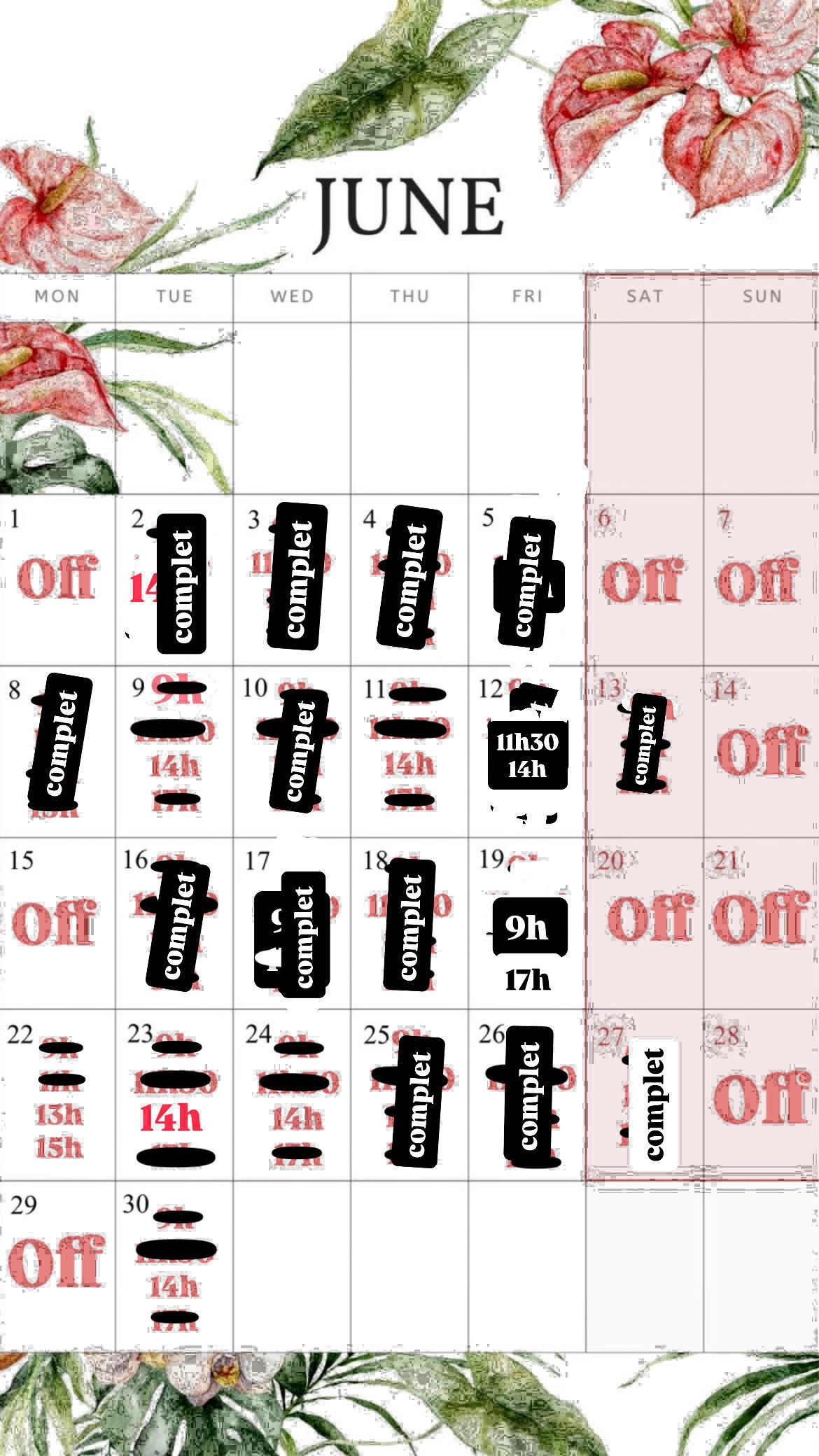 Planning disponibilités April Nail's - Prothésiste ongulaire Auxonne
